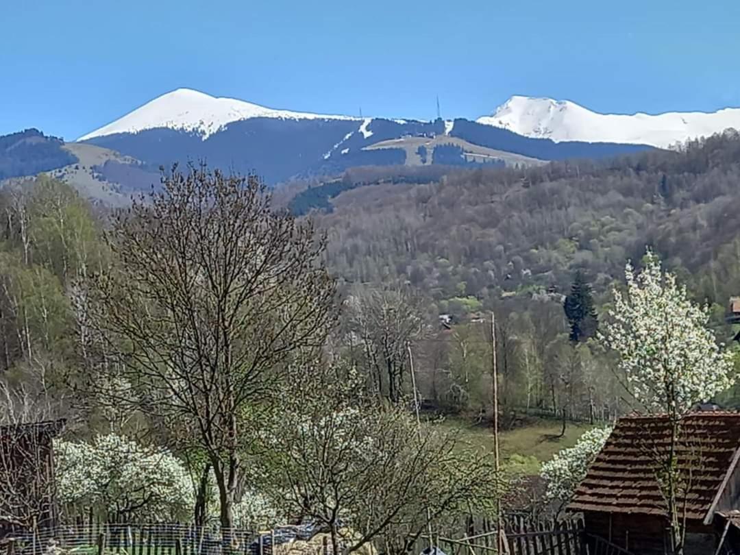 Fely Room Petroszany Zewnętrze zdjęcie