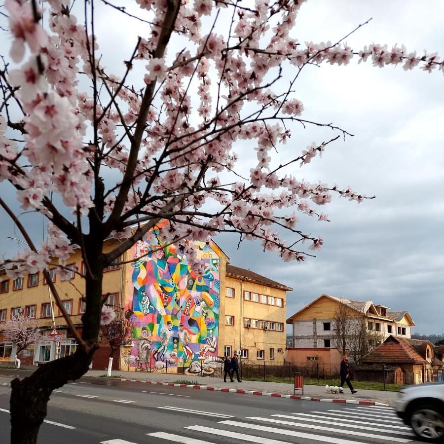Fely Room Petroszany Zewnętrze zdjęcie